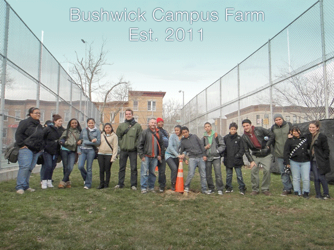 The birth of Bushwick Campus Farm