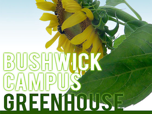 Bushwick Campus Greenhouse's video poster